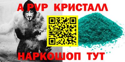 spice Гай