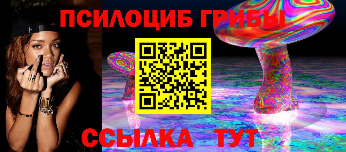 Галлюциногенные грибы Psilocybine cubensis Миллерово