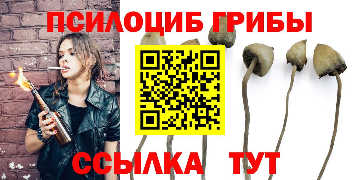 Миллерово  Галлюциногенные грибы прущие грибы  Вход с VPN  Галлюциногенные грибы Psilocybine cubensis 